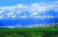 В Алматы выявлено 12 тыс. нарушений земельного законодательства