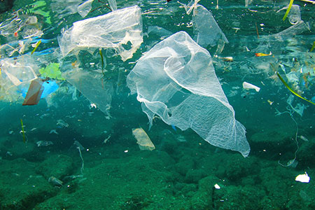 Учёные нашли способ очистки океанов от&nbsp;микропластика