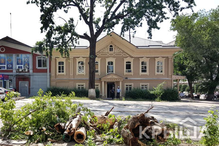 Акимат Алматы пообещал не вырубать деревья при&nbsp;реконструкции&nbsp;улиц