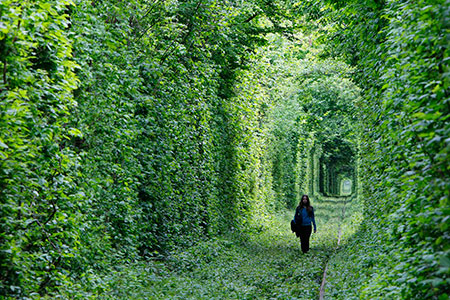 Парки Алматы соединят зелёными коридорами