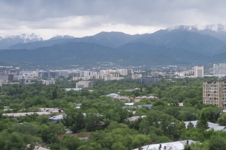 В&nbsp;Алматы разработают мастер-план озеленения города
