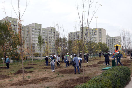 В&nbsp;Алматы высадят почти 300 тысяч деревьев
