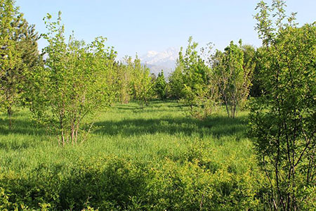 В Алматы благоустроят парк «Южный»