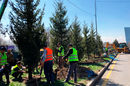 Алматинцам предложили выбрать места для миллиона деревьев