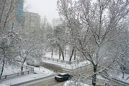 Алматы засыпало снегом (фото)
