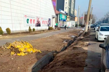 Вырубка деревьев на&nbsp;Толе&nbsp;би в Алматы: полиция переквалифицировала дело