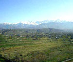 Выявлены факты нарушений при распределении земельных участков в Алматинской области