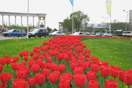 В&nbsp;трёх скверах Алматы посадят более тысячи деревьев