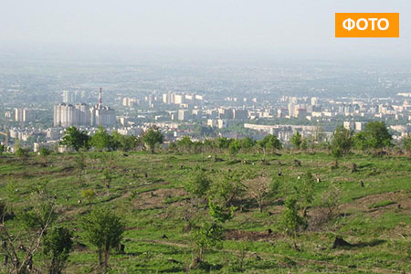 Топ-7 самых дорогих участков Алматы