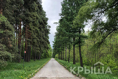 В&nbsp;Алматы запущено приложение с&nbsp;информацией о&nbsp;деревьях